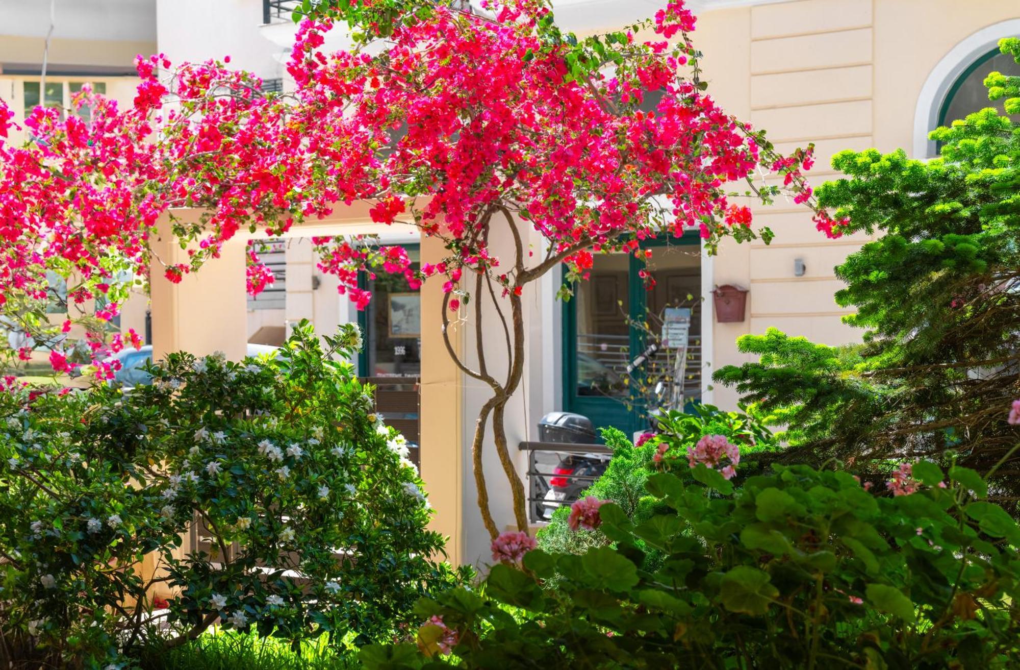 Myrto3 Apartment Preveza Buitenkant foto